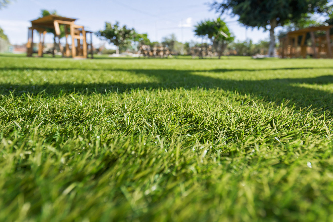 Artificial Grass Contractor in Lancaster, CA